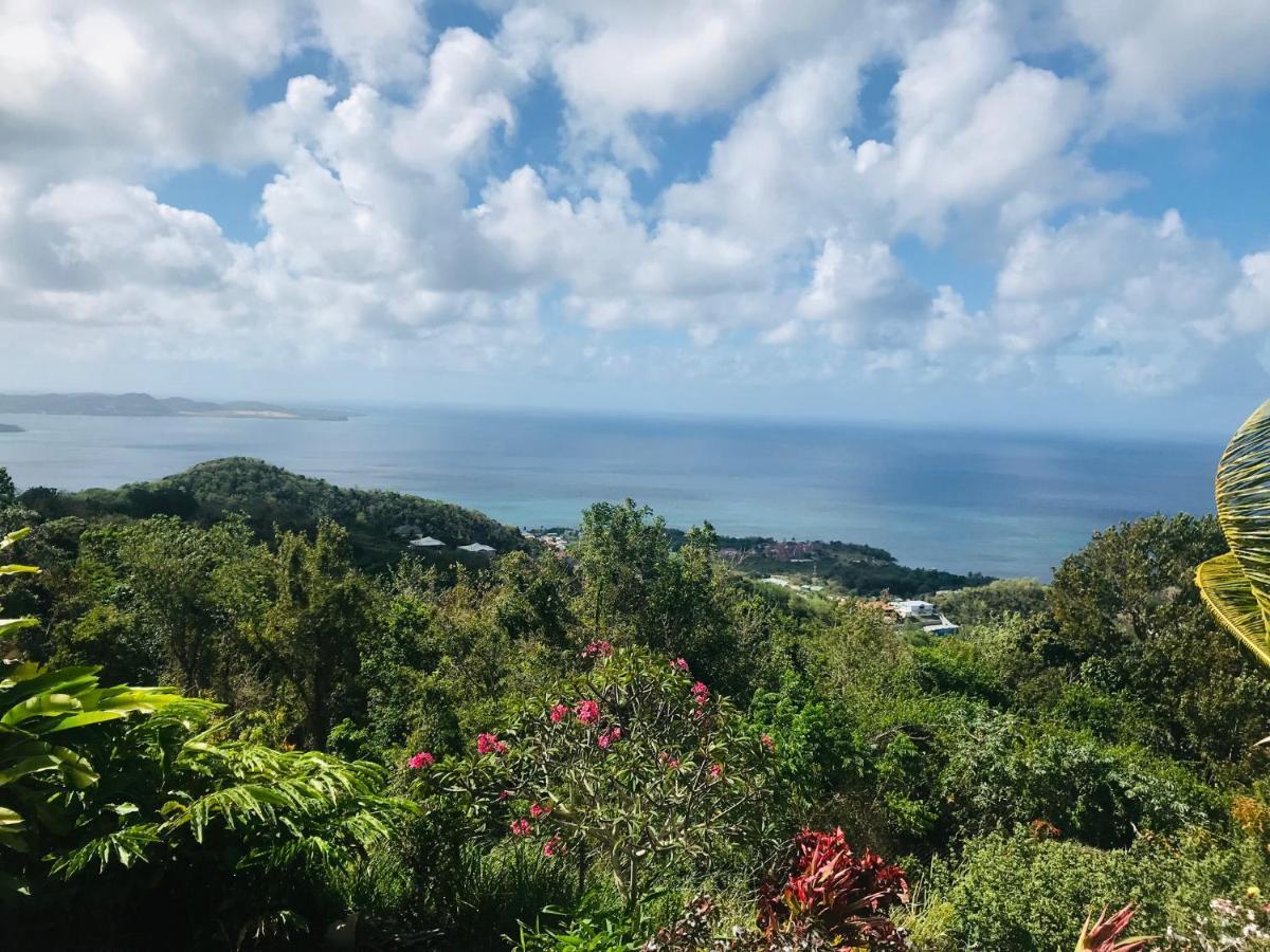 Appartement Prive Eco-Responsable, Vue Sur La Mer Des Caraibes Et Jardin Clos, Wifi, A 2Mn De La Plage Sainte-Luce Zewnętrze zdjęcie