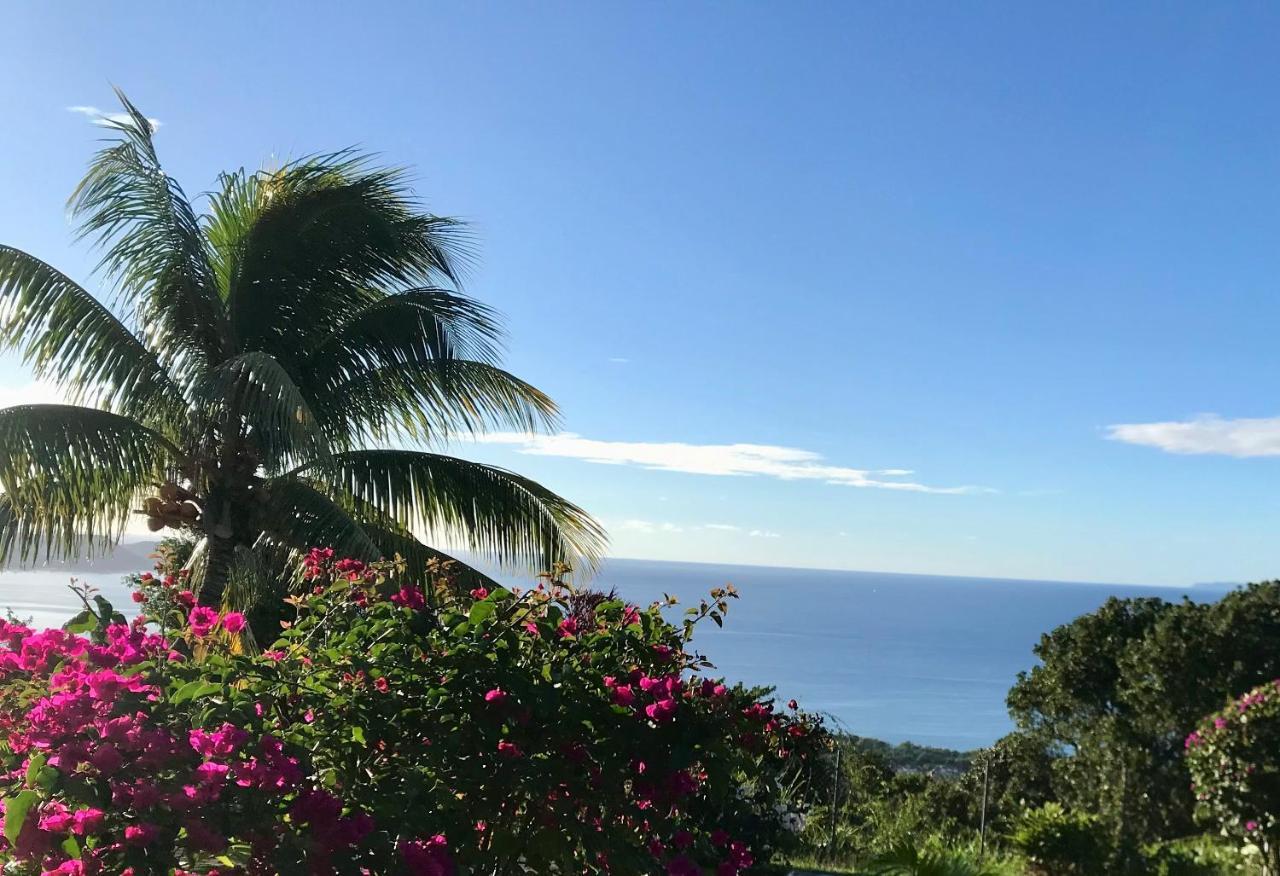 Appartement Prive Eco-Responsable, Vue Sur La Mer Des Caraibes Et Jardin Clos, Wifi, A 2Mn De La Plage Sainte-Luce Zewnętrze zdjęcie